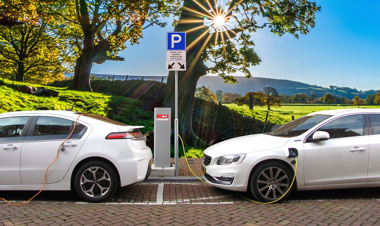 Le auto elettriche ci fanno risparmiare? - Hamid-Reza Khoyi